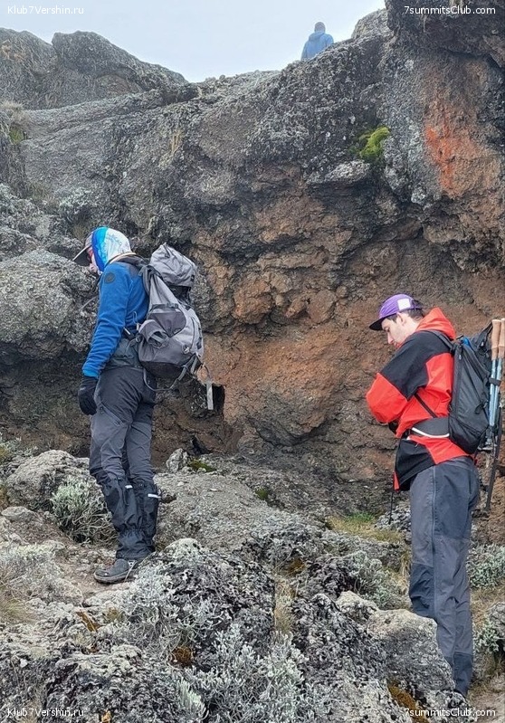 ������������ 2023. ������ �. �������. ������ ������, ���� 148