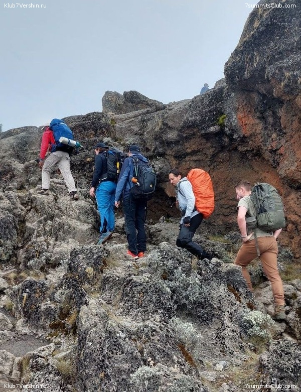 ������������ 2023. ������ �. �������. ������ ������, ���� 106