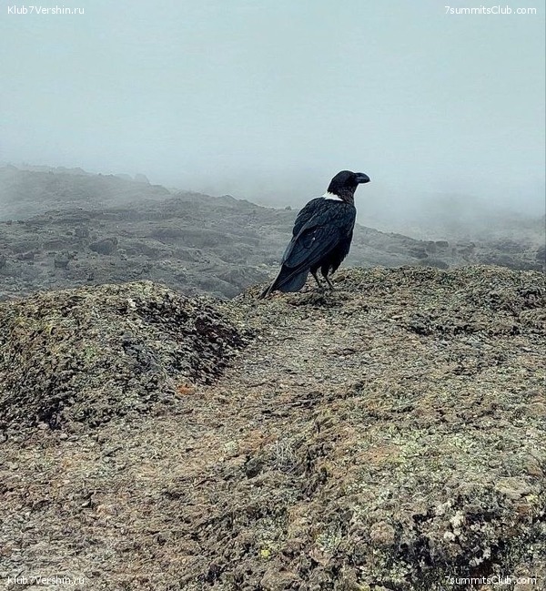 ������������ 2023. ������ �. �������. ������ ������, ���� 43