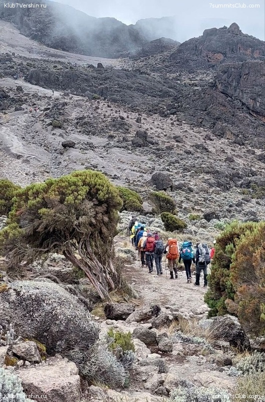 ������������ 2023. ������ �. �������. ������ ������, ���� 160