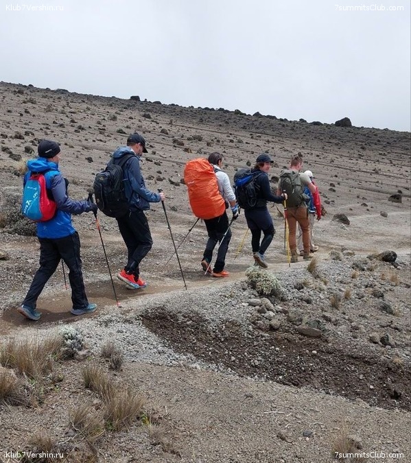 ������������ 2023. ������ �. �������. ������ ������, ���� 51