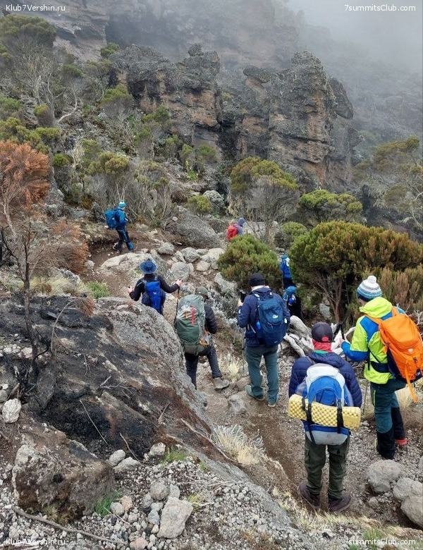 ������������ 2023. ������ �. �������. ������ ������, ���� 107