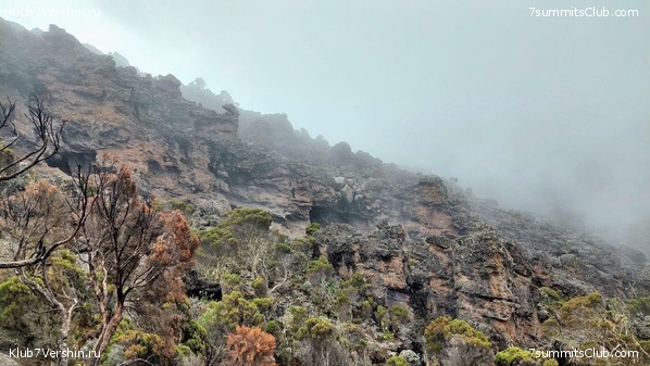 ������������ 2023. ������ �. �������. ������ ������, ���� 21