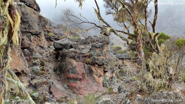 ������������ 2023. ������ �. �������. ������ ������, ���� 22