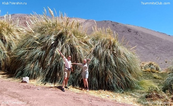 ���� ���� ������ 2023. ������. ������ ������, ���� 58