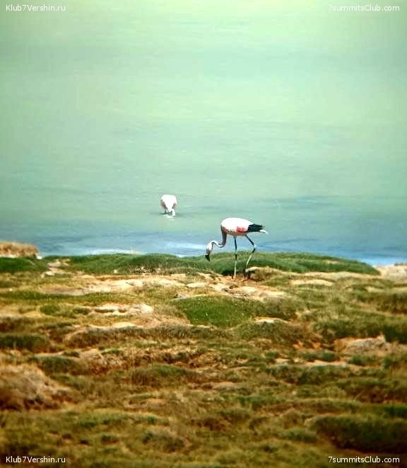 ���� ���� ������ 2023. ������. ������ ������, ���� 79