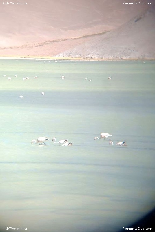 ���� ���� ������ 2023. ������. ������ ������, ���� 109