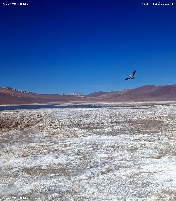 ���� ���� ������ 2023. ������. ������ ������, ���� 80