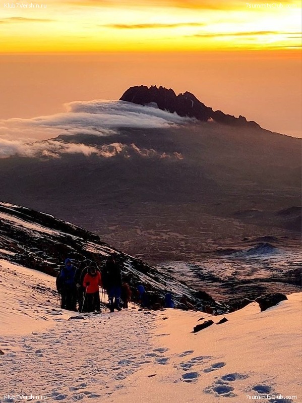 ������������ 2023. ������ �. �������. ������ ������, ���� 124