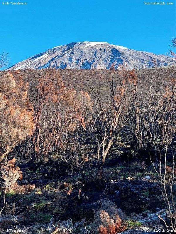 ������������ 2023. ������ �. �������. ������ ������, ���� 120