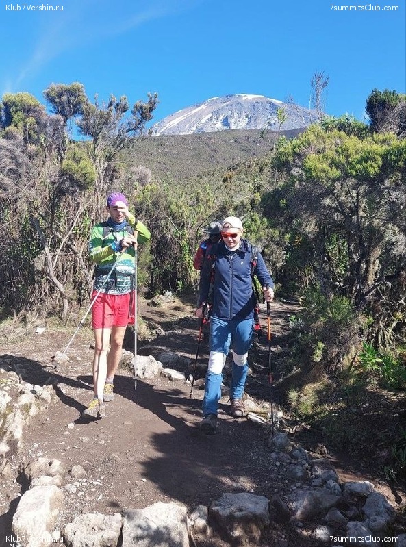 ������������ 2023. ������ �. �������. ������ ������, ���� 129