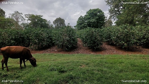 ������������ 2023. ������ �. �������. ������ ������, ���� 29