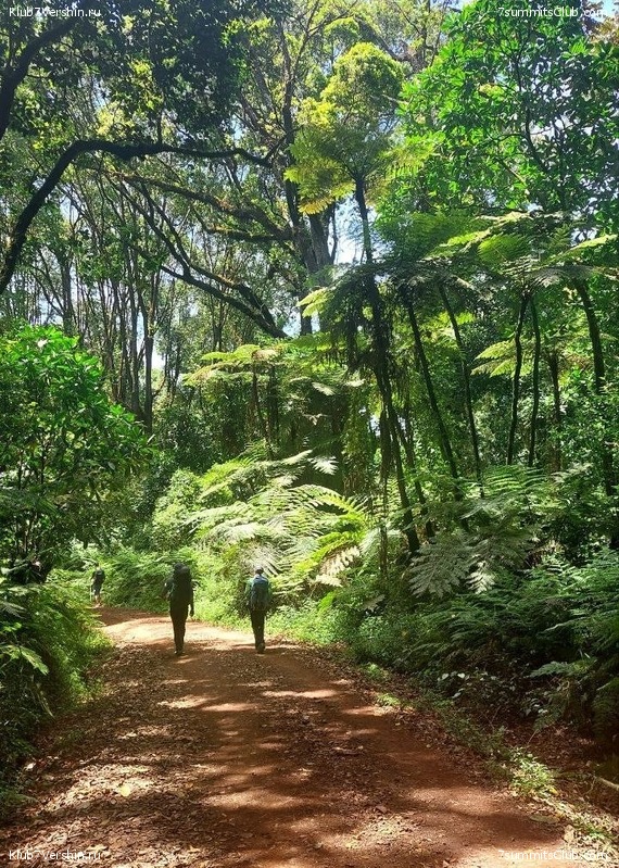 ������������ 2023. ������ �. �������. ������ ������, ���� 138