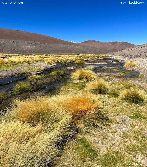 ���� ���� ������ 2023. ������. ������ ������, ���� 78