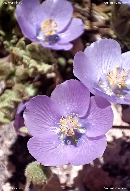 ���� ���� ������ 2023. ������. ������ ������, ���� 108