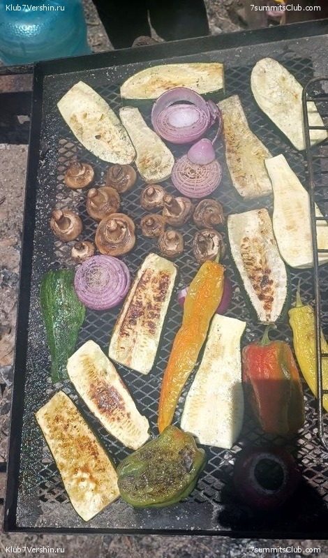 ���� ���� ������ 2023. ������. ������ ������, ���� 120