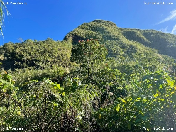 ��������� 2023. �. � �. ��������, ���� 11