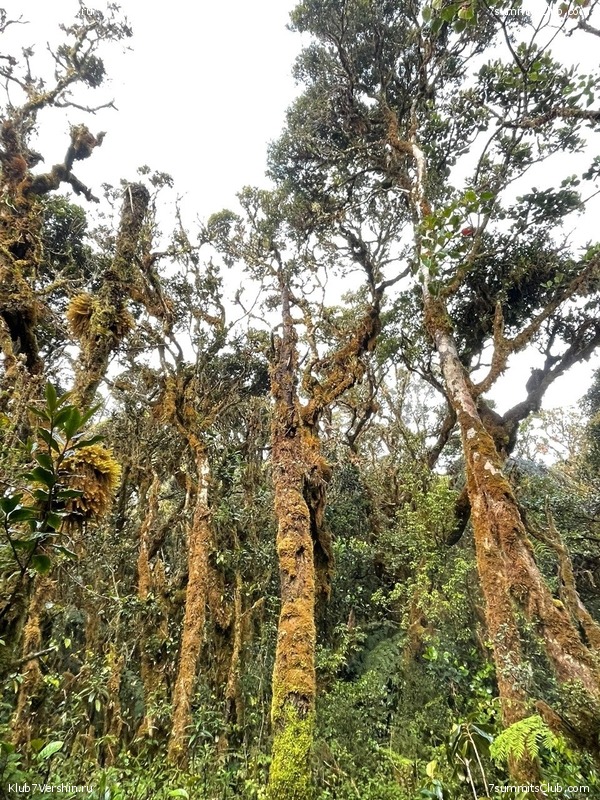 ��������� 2023. �. � �. ��������, ���� 35