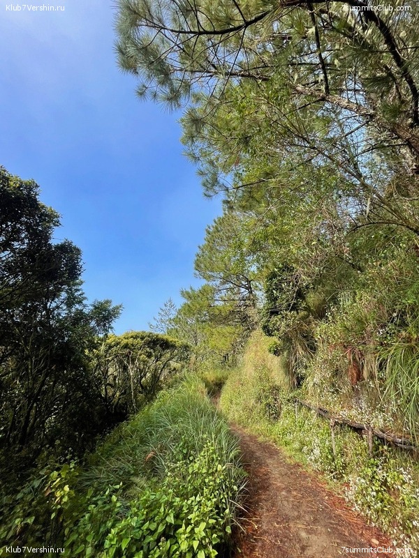 ��������� 2023. �. � �. ��������, ���� 36