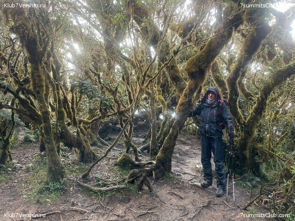 ��������� 2023. �. � �. ��������, ���� 17