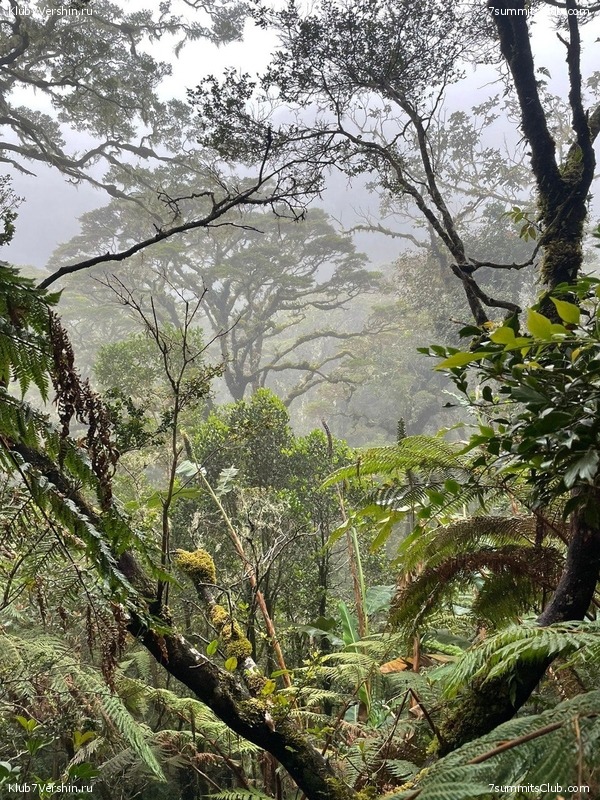 ��������� 2023. �. � �. ��������, ���� 37