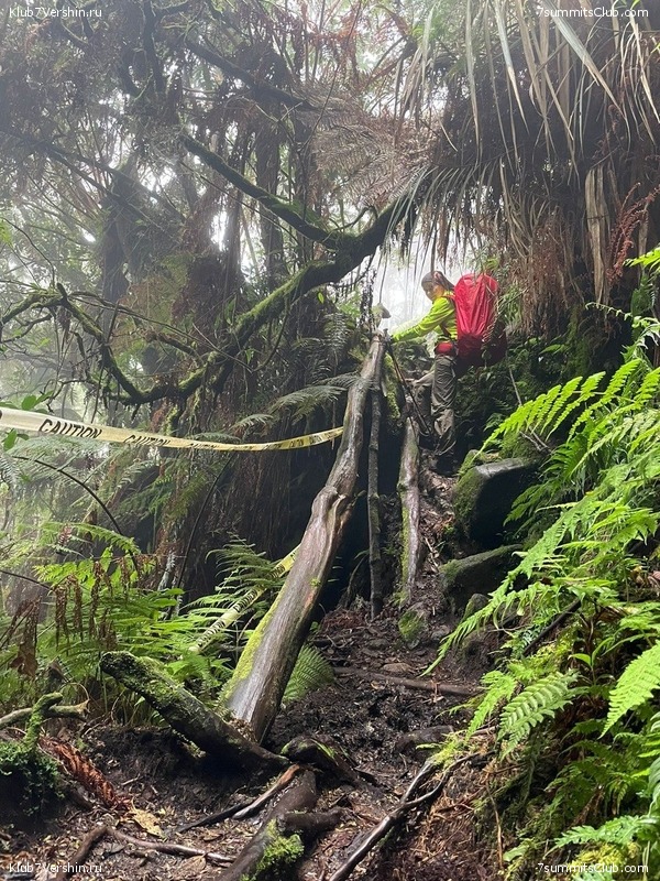 ��������� 2023. �. � �. ��������, ���� 38