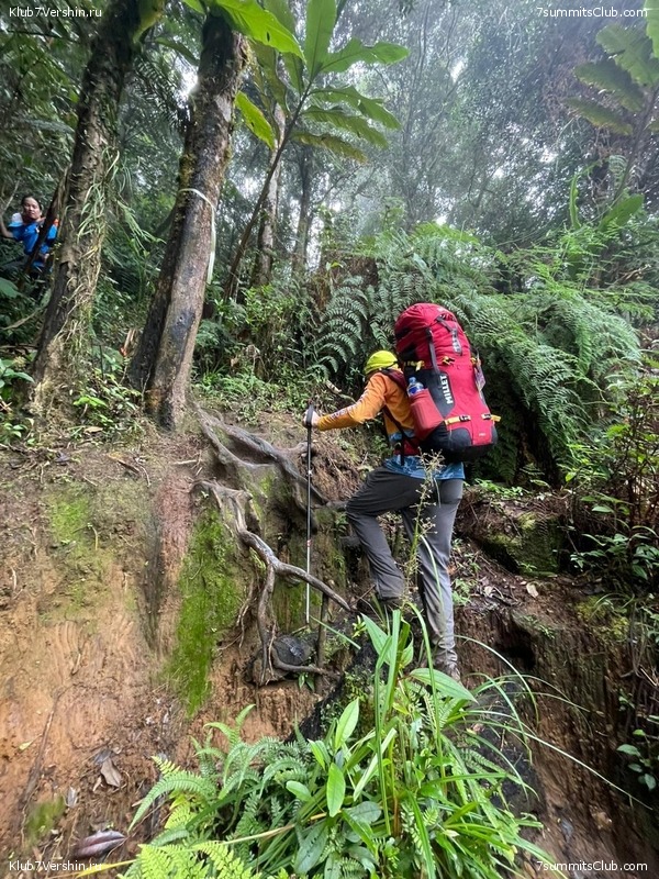 ��������� 2023. �. � �. ��������, ���� 41