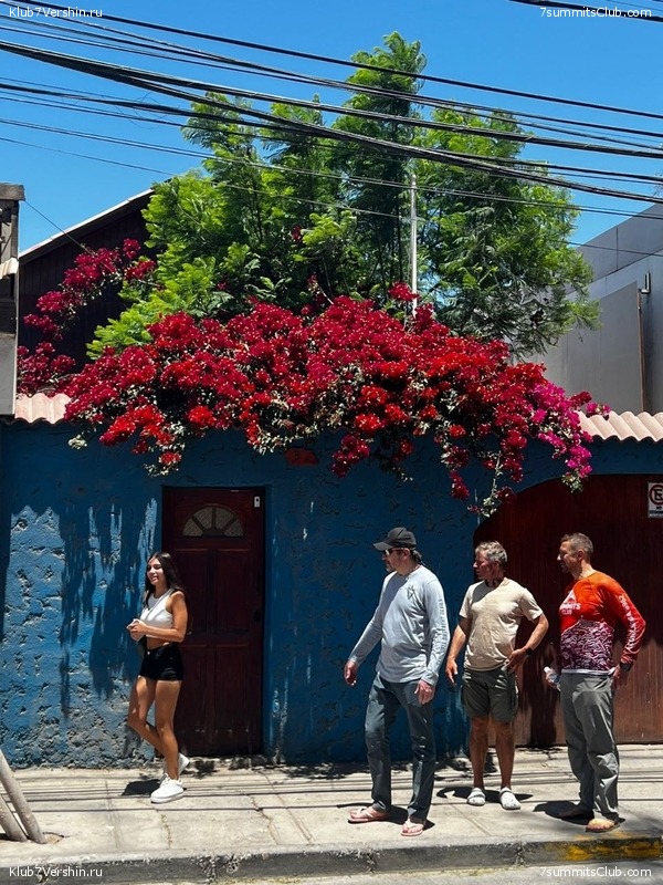 ��������� - ���� ���� ������ 2023 ����� ���������, ���� 103