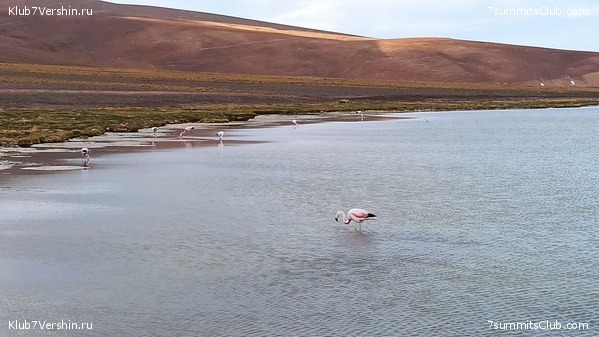 ��������� - ���� ���� ������ 2023 ����� ���������, ���� 29