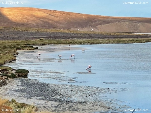 ��������� - ���� ���� ������ 2023 ����� ���������, ���� 61