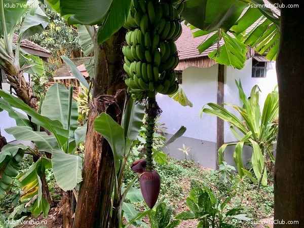 ������������ 2023. �������. ����� ���������, ���� 74