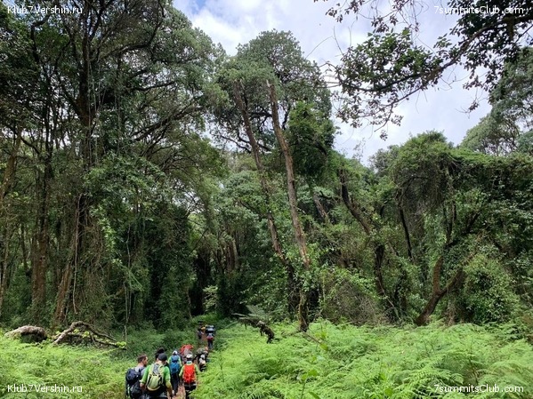 ������������ 2023. �������. ����� ���������, ���� 66