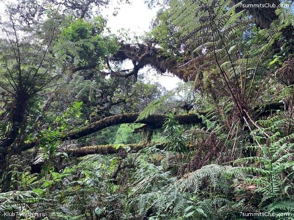 ������������ 2023. �������. ����� ���������, ���� 78