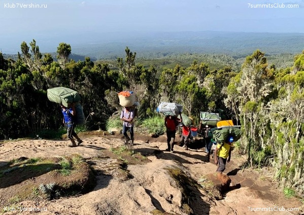 ������������ 2023. �������. ����� ���������, ���� 54