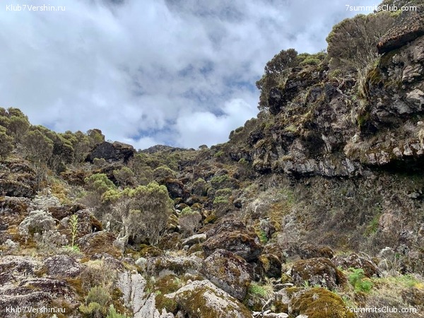 ������������ 2023. �������. ����� ���������, ���� 89