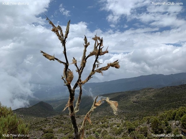 ������������ 2023. �������. ����� ���������, ���� 90