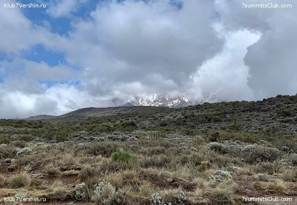 ������������ 2023. �������. ����� ���������, ���� 39