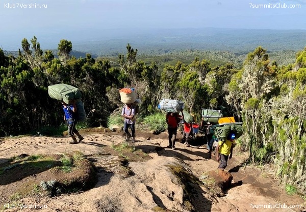 ������������ 2023. �������. ����� ���������, ���� 46