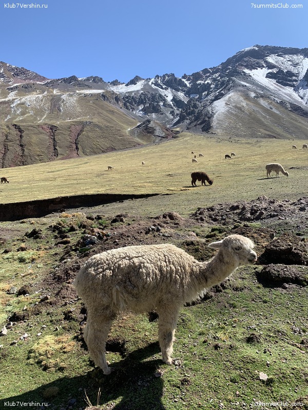 ���� 2023. ������� ��������� � ��������� ������� (��� ����), ���� 60