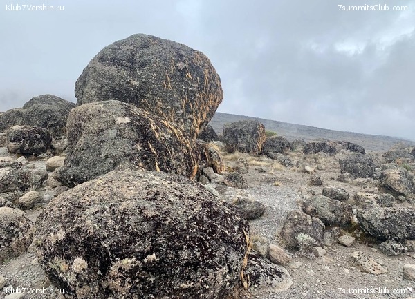 ������������ 2023. �������. ����� ���������, ���� 61