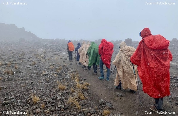 ������������ 2023. �������. ����� ���������, ���� 19