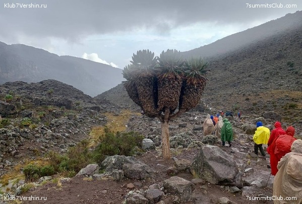 ������������ 2023. �������. ����� ���������, ���� 31