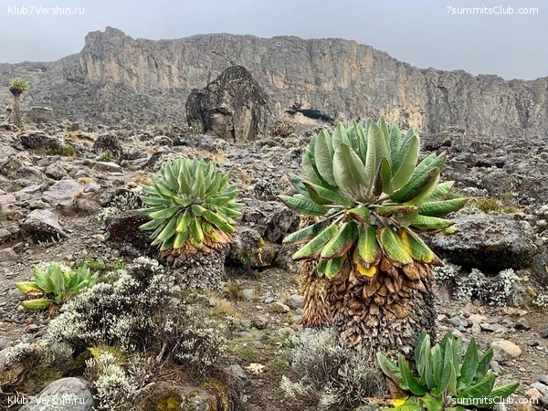 ������������ 2023. �������. ����� ���������, ���� 94