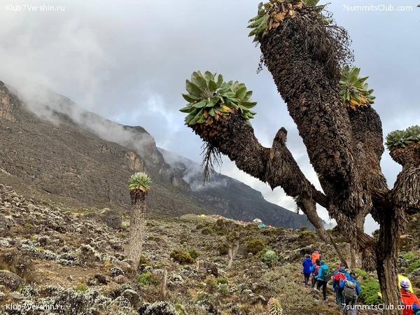 ������������ 2023. �������. ����� ���������, ���� 96