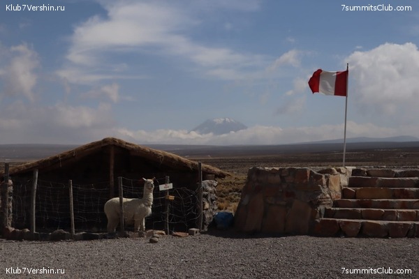 ���� 2023. ������� ��������� � ��������� ������� (��� ����), ���� 8