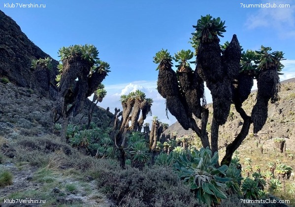 ������������ 2023. �������. ����� ���������, ���� 50