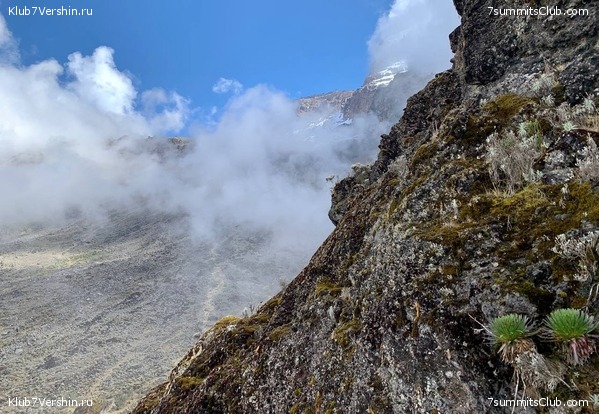 ������������ 2023. �������. ����� ���������, ���� 42