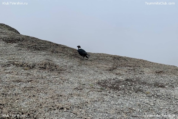 ������������ 2023. �������. ����� ���������, ���� 30