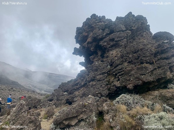 ������������ 2023. �������. ����� ���������, ���� 99