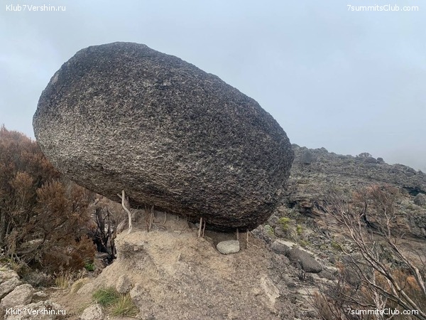 ������������ 2023. �������. ����� ���������, ���� 101